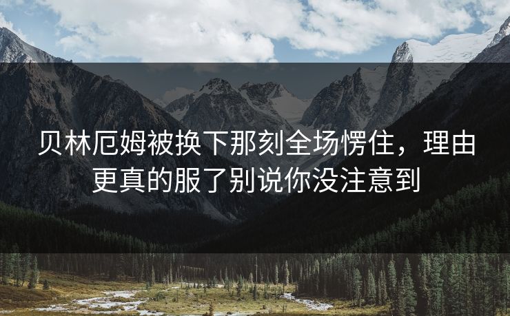 贝林厄姆被换下那刻全场愣住，理由更真的服了别说你没注意到