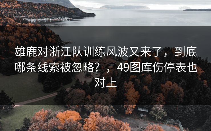 雄鹿对浙江队训练风波又来了,到底哪条线索被忽略?,49图库伤停表也对上 雄鹿对浙江队训练风波又来了,到底哪条线索被忽略?,49图库伤停表也对上