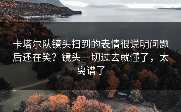 卡塔尔队镜头扫到的表情很说明问题后还在笑？镜头一切过去就懂了，太离谱了