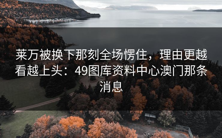 莱万被换下那刻全场愣住，理由更越看越上头：49图库资料中心澳门那条消息