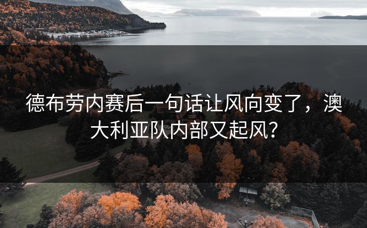 德布劳内赛后一句话让风向变了，澳大利亚队内部又起风？